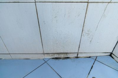 Avoid the Growth of Mold or Mildew!